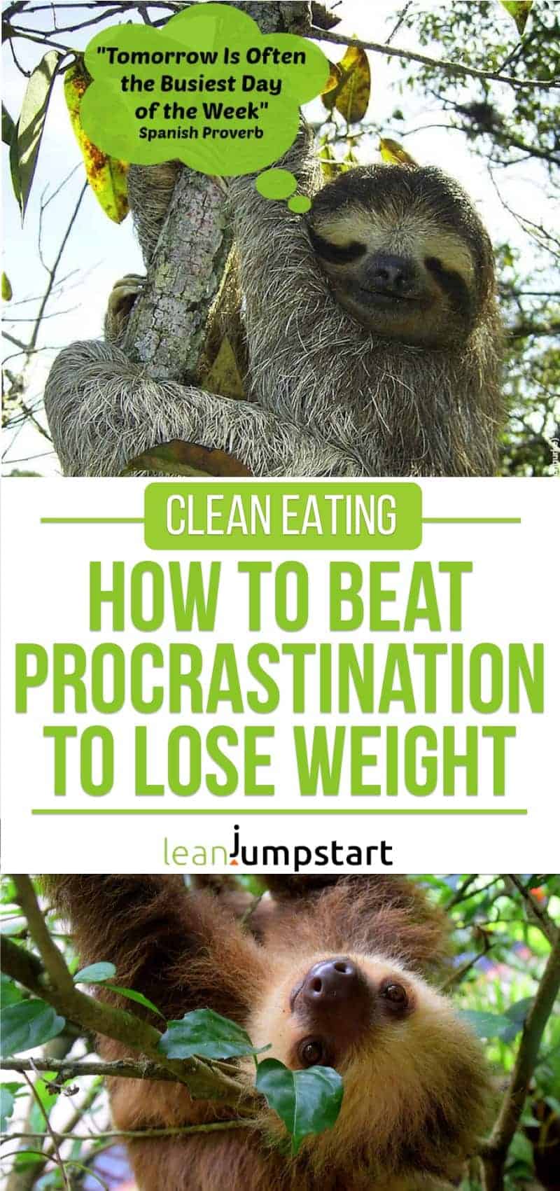 clean eating: how to beat procrastination to lose weight