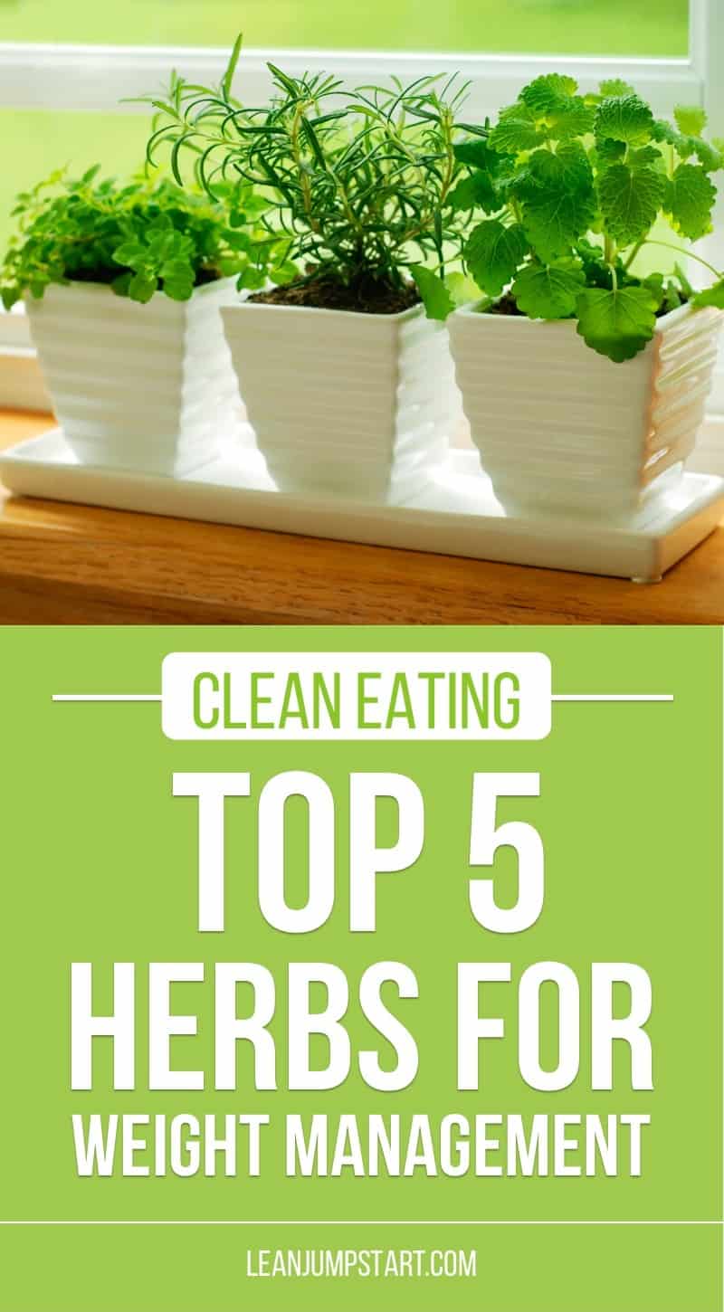 easy herbs