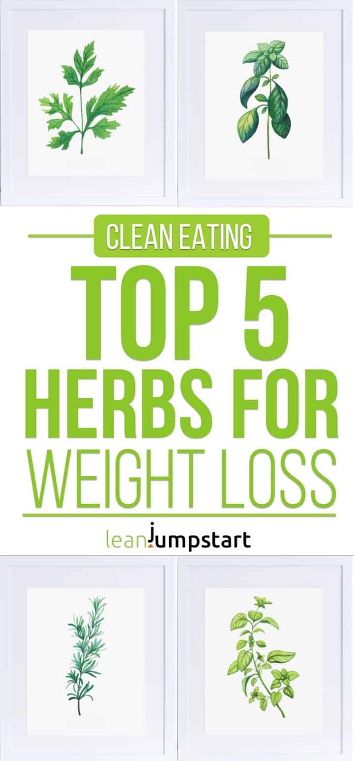 herbs for weightloss: Top 5 herbs you can grow indoors