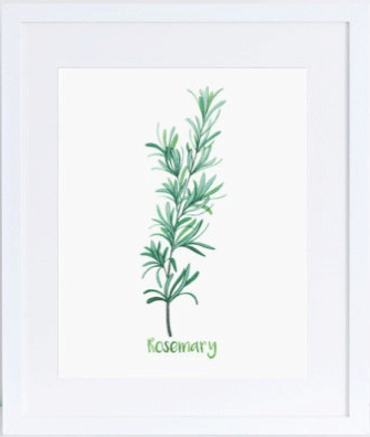 rosemary print