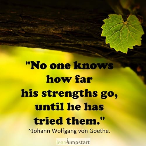 goal quote goethe