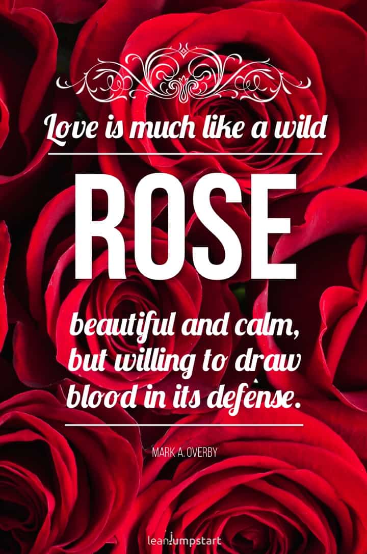 rose love quote