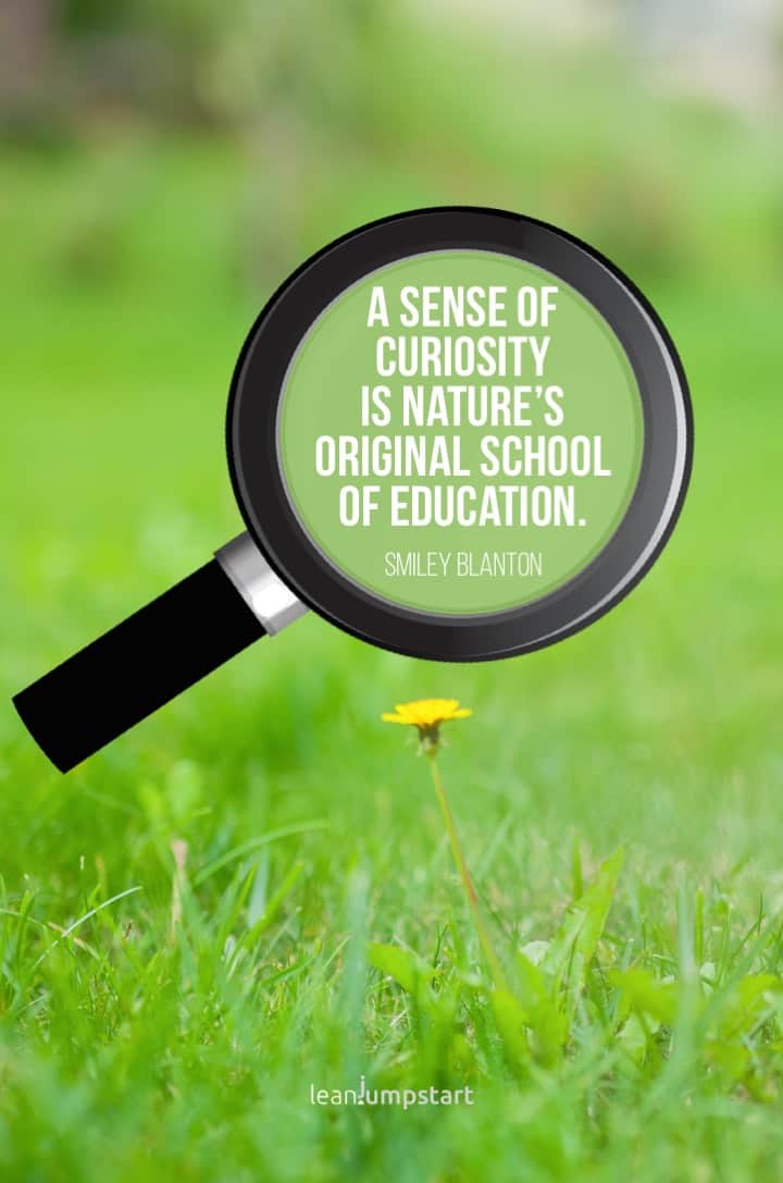 learn from curiosity quote