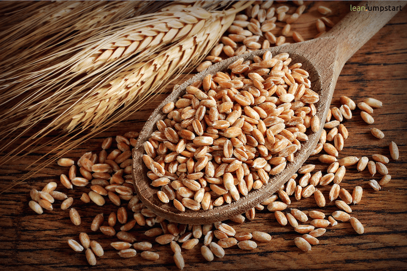 farro grains