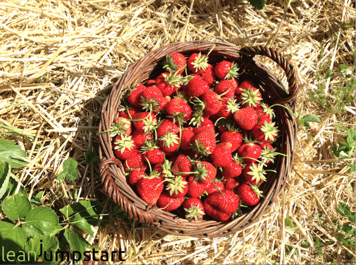 basket with picked strawberries