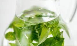 Top 24 detox water recipes for fast weight loss – delicious and healthy