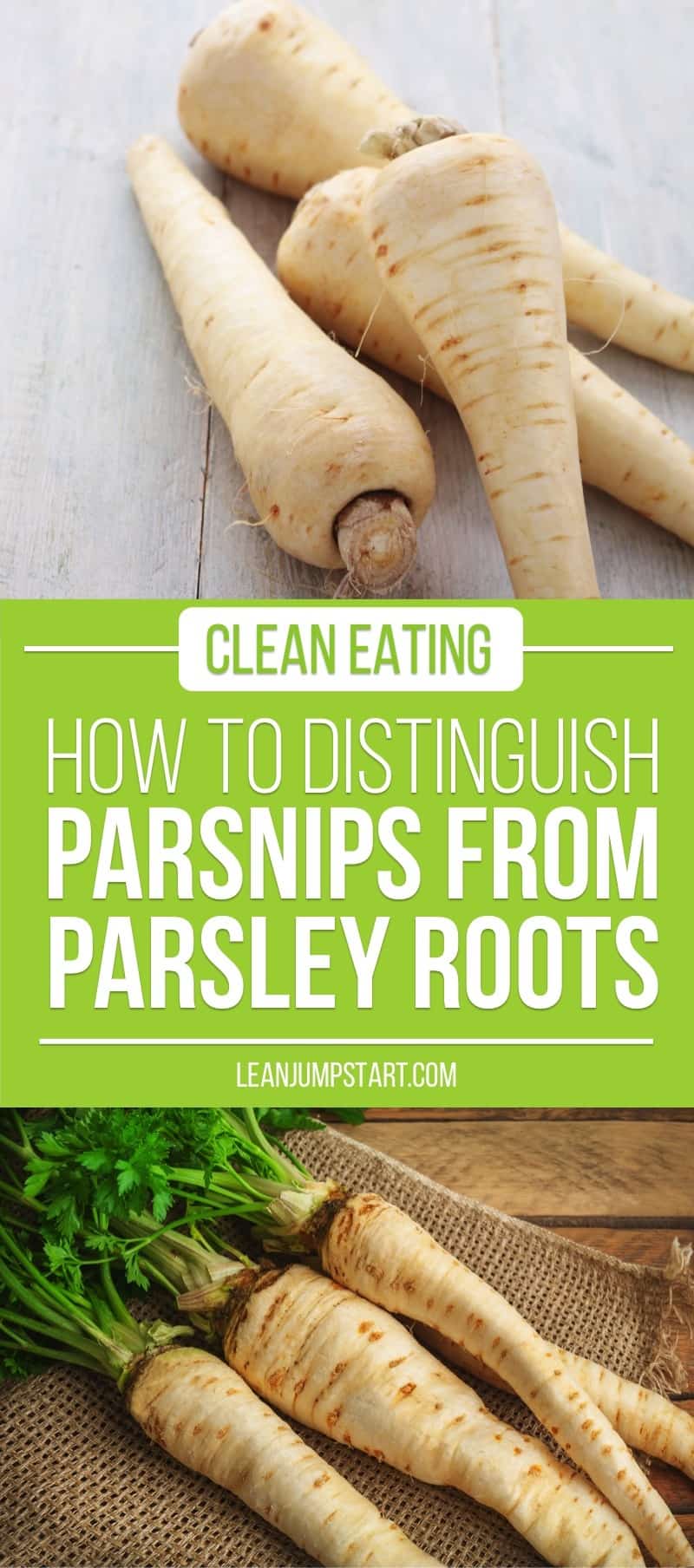 parsnips vs parsley root: an easy trick how to distinguish them