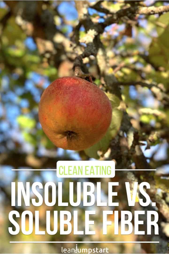 soluble vs insoluble fiber