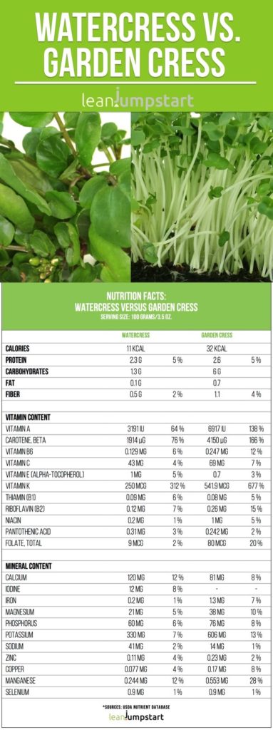 watercress-nutrition-facts-cress-uses-recipe-tips