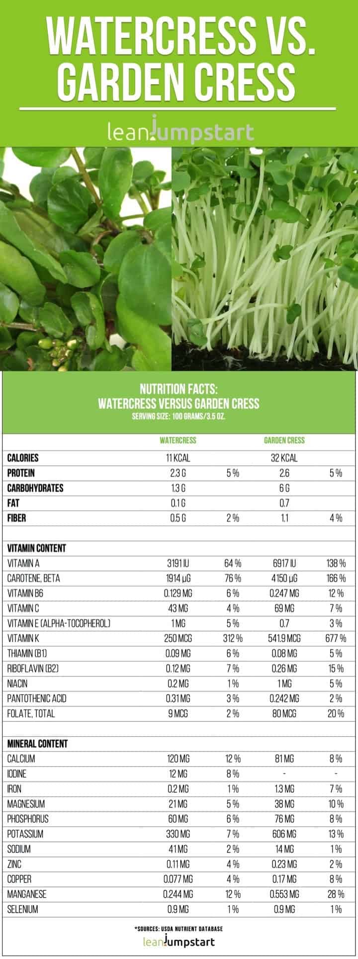 Cress Seeds - Watercress