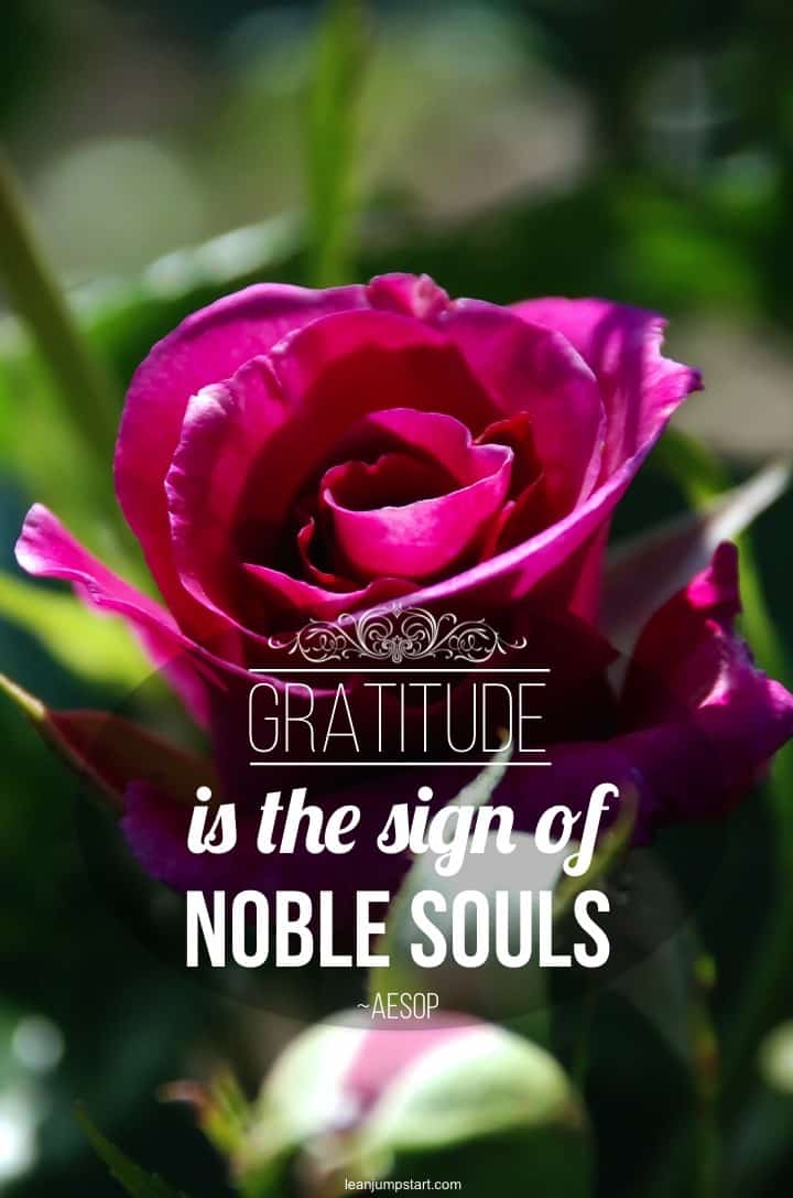 gratitude and soul quote