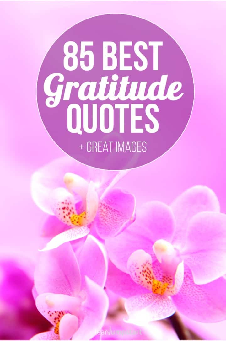 85 best gratitude quotes and thankful sayings (+images)